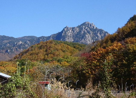 e0172950_1946297.jpg