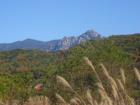 e0172950_19465223.jpg