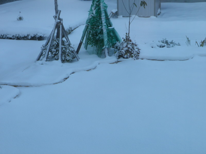 f0216955_7515138.jpg
