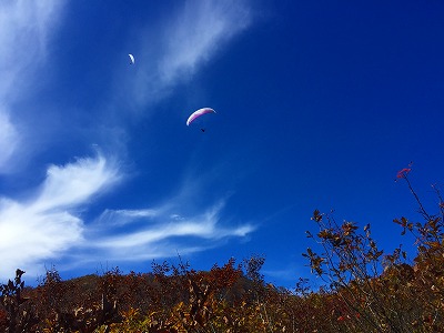 e0001860_20213471.jpg