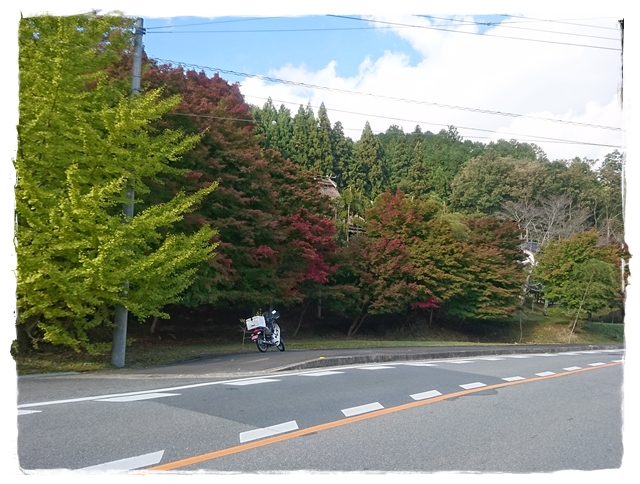 c0292665_116561.jpg