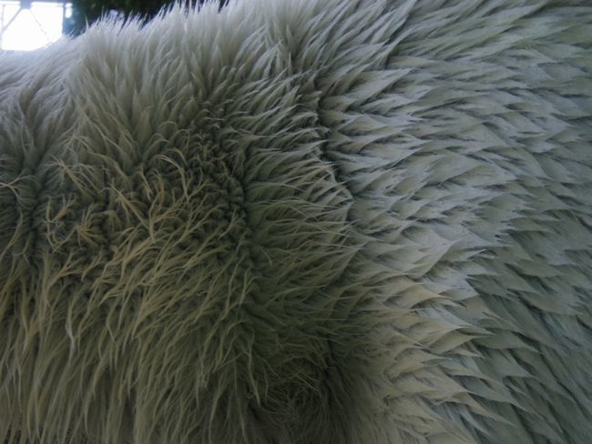 b0014576_09060412.jpg