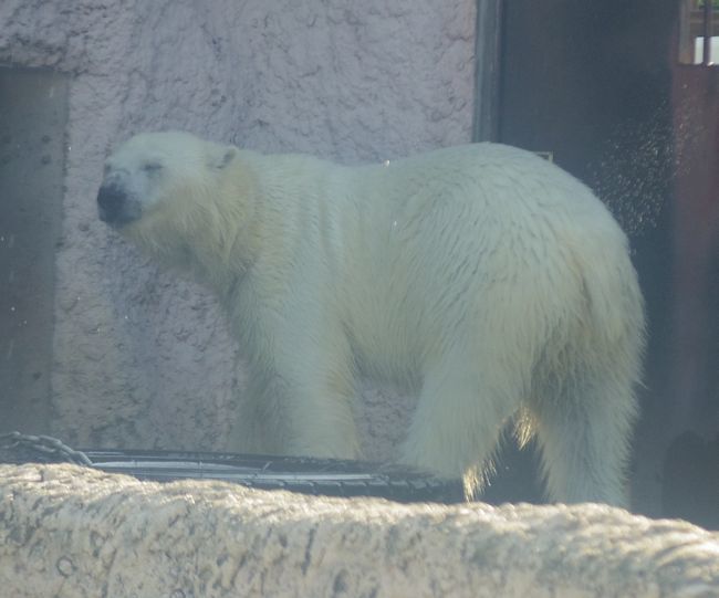 b0014576_09061003.jpg