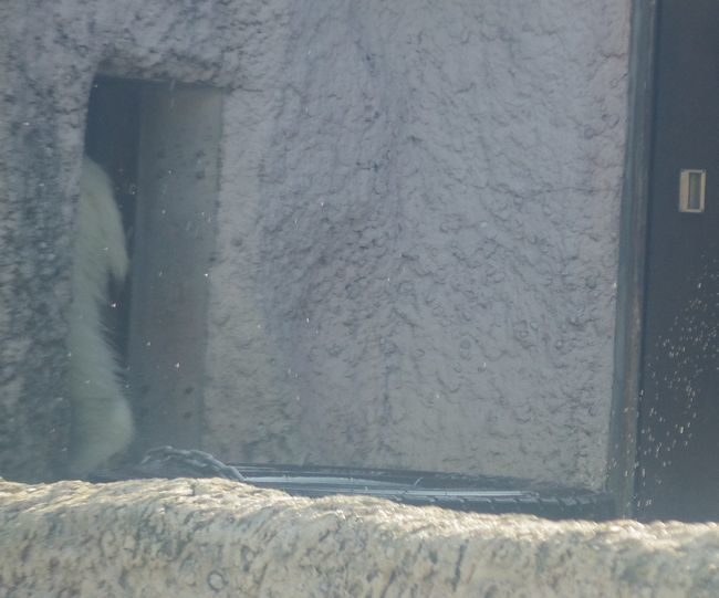 b0014576_09061405.jpg