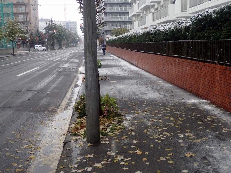 c0183777_755434.jpg
