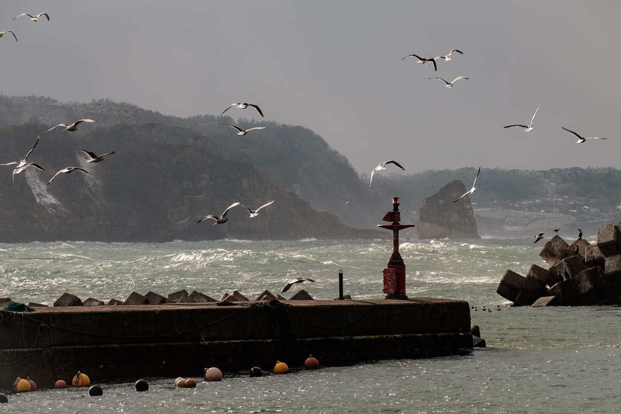 b0001380_2243762.jpg