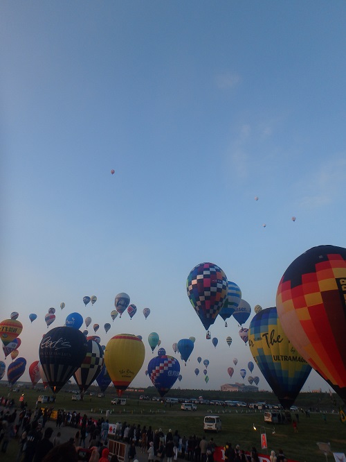 d0174683_0393863.jpg
