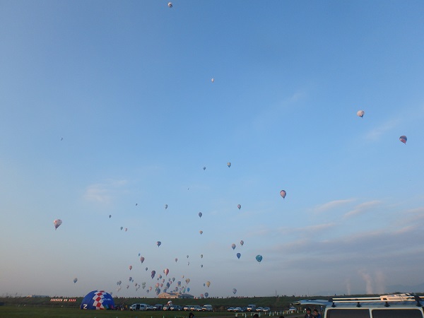 d0174683_7493151.jpg
