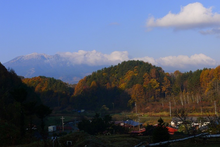 a0130586_947815.jpg