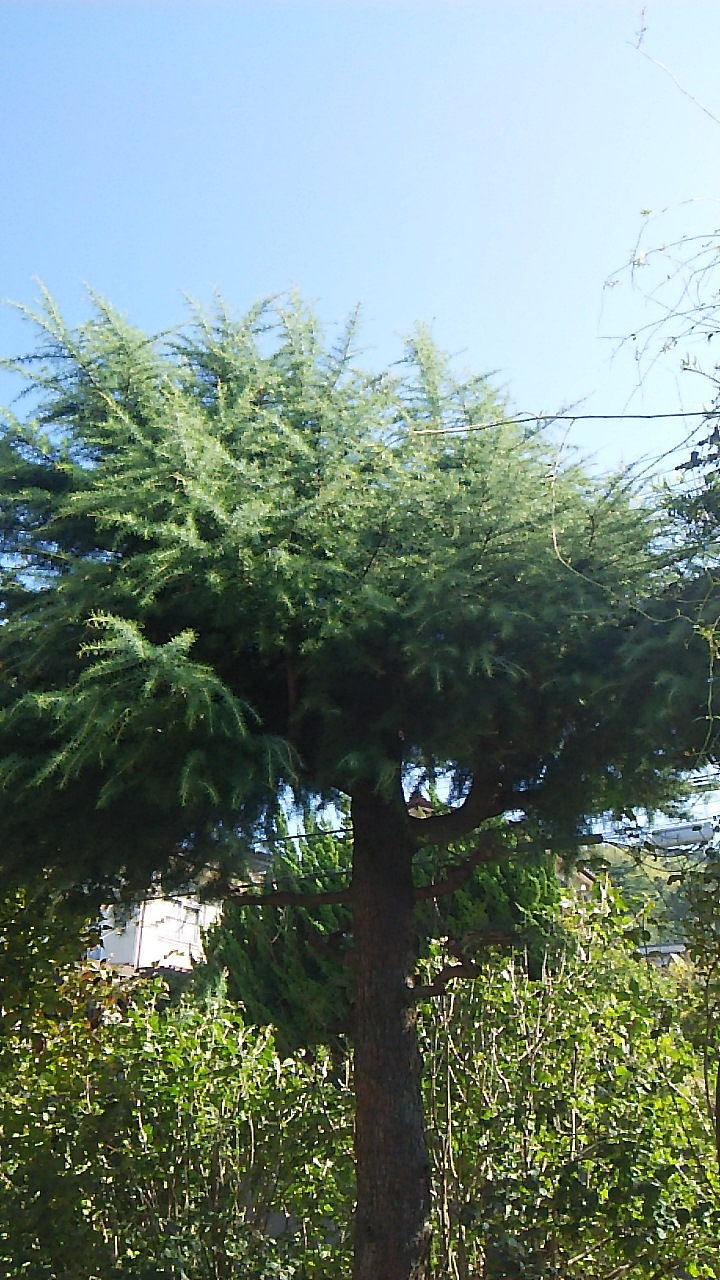 b0091187_23471554.jpg
