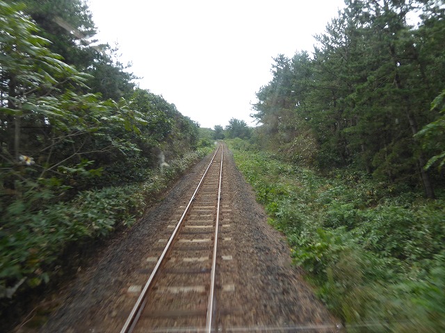 b0287088_1723499.jpg