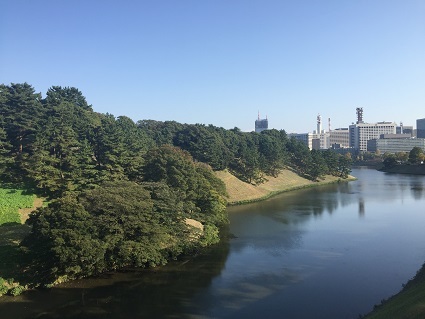 f0202990_23135555.jpg