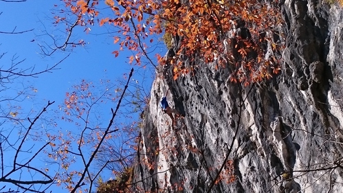 b0146794_821990.jpg