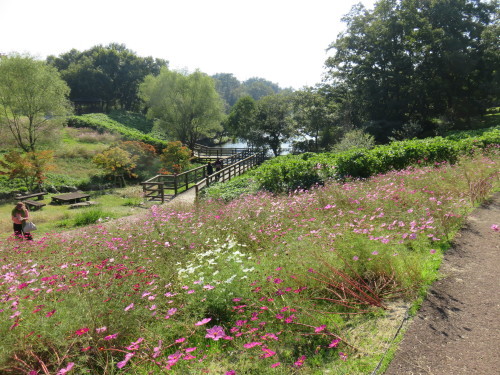 f0204295_20560448.jpg