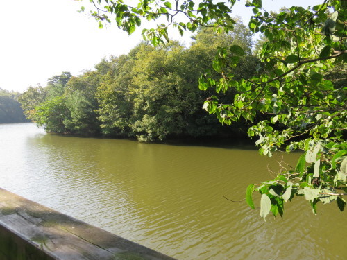 f0204295_20565498.jpg