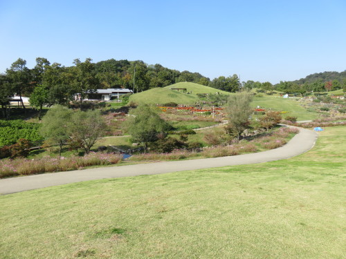 f0204295_21015316.jpg