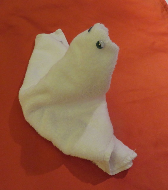 f0346196_15365087.jpg