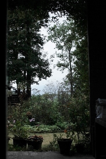 e0209997_08361565.jpg