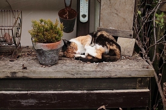 e0209997_09105461.jpg
