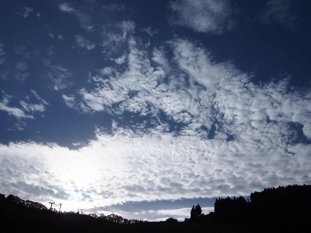 b0039898_172562.jpg