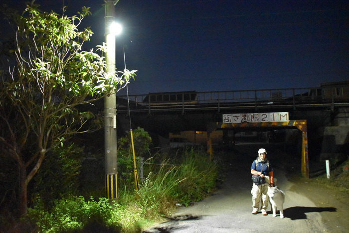 c0049299_21163586.jpg