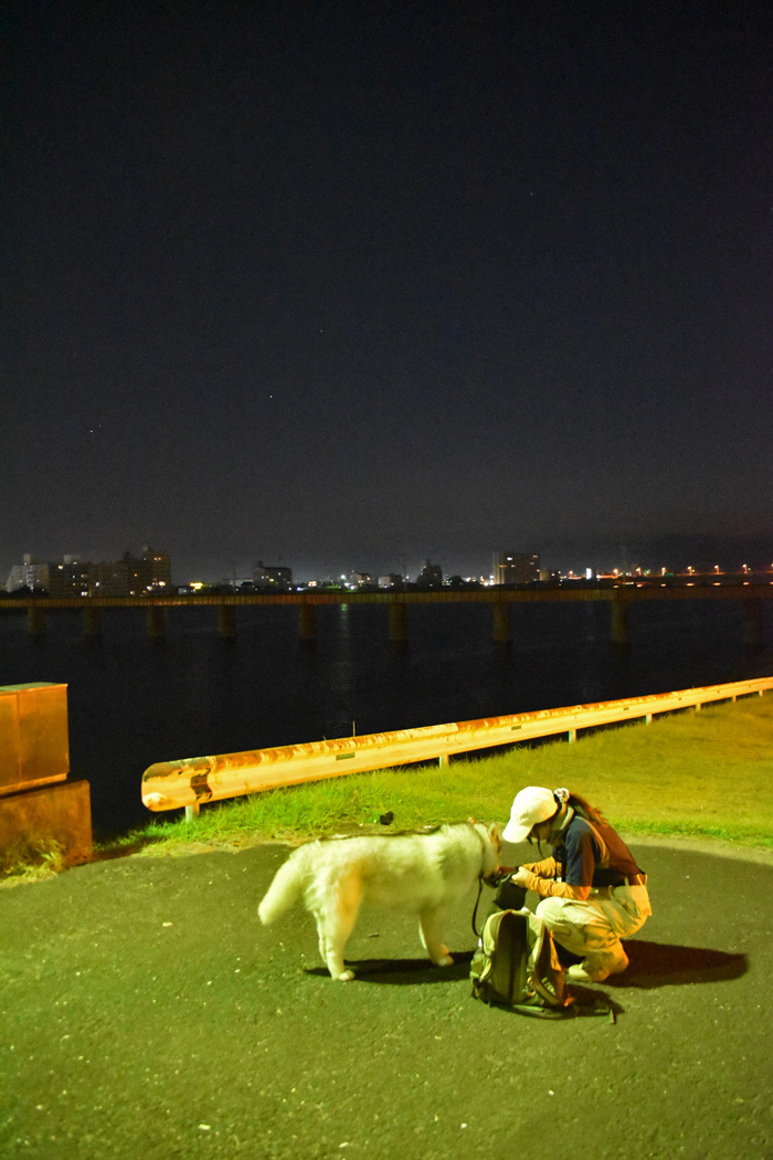 c0049299_21164307.jpg