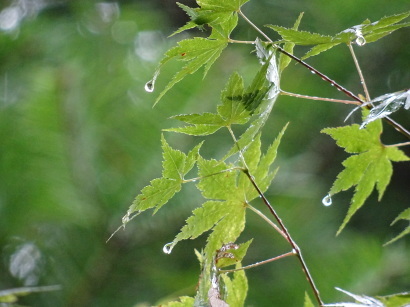 b0001402_01093048.jpg