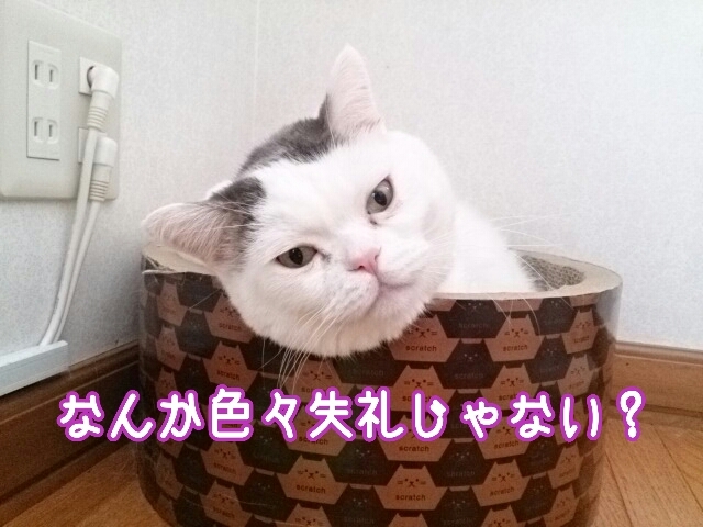 b0081503_16595941.jpg