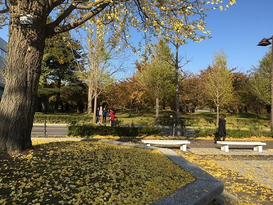 a0337807_18432009.jpg