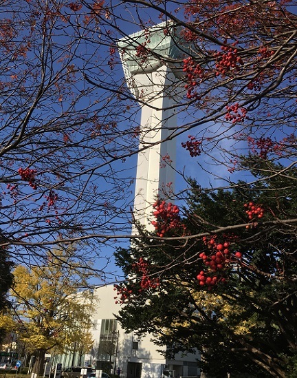a0337807_18441672.jpg