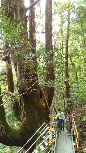 c0016208_02132834.jpg
