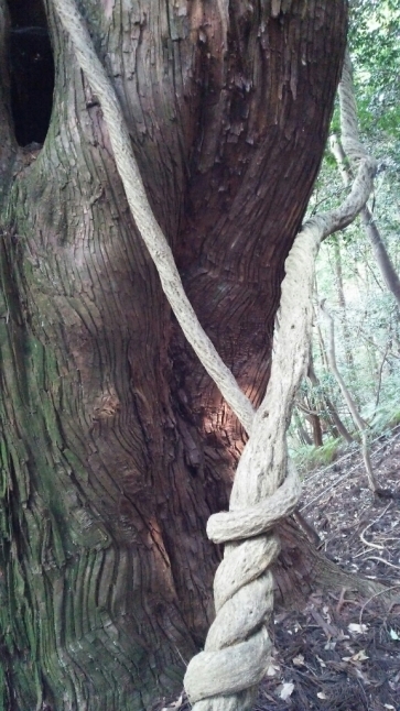 c0016208_02143615.jpg