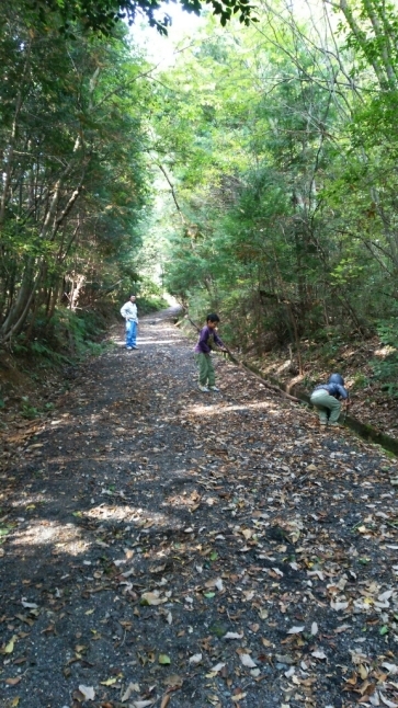 c0016208_06524063.jpg