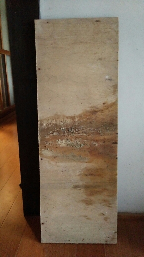 c0016208_13322616.jpg