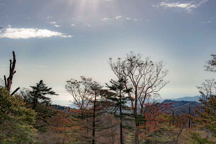 b0244811_22523974.jpg