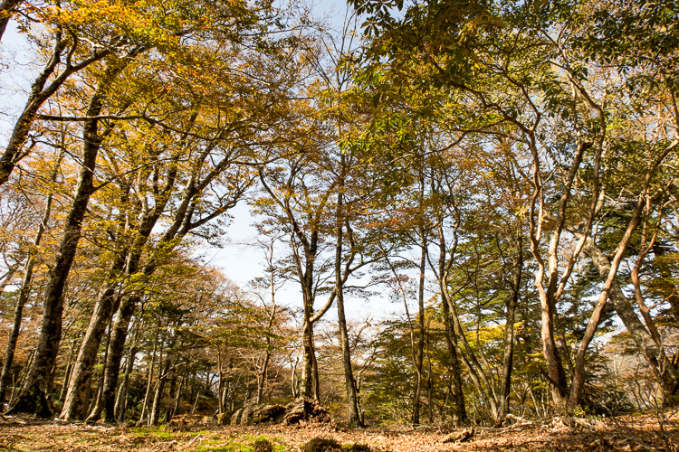 b0244811_22585929.jpg