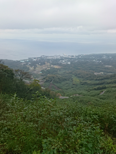 f0100911_21333148.jpg