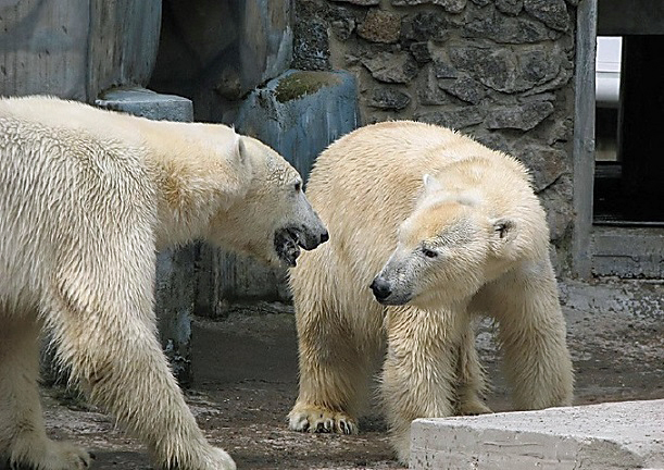 a0151913_1462295.jpg