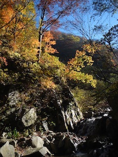 c0359615_20355176.jpg