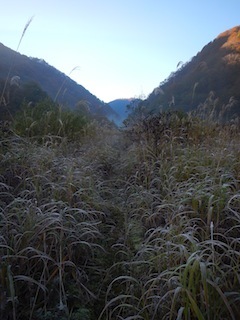 c0359615_20361488.jpg