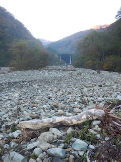 c0359615_20371770.jpg