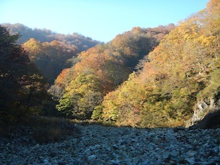 c0359615_20380079.jpg