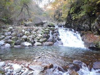 c0359615_20381601.jpg