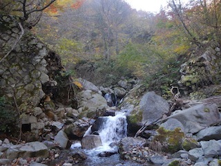 c0359615_20383619.jpg