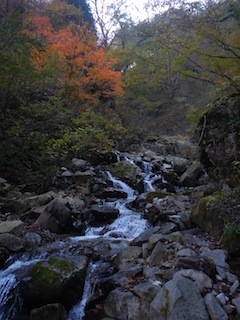 c0359615_20385203.jpg
