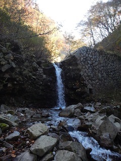 c0359615_20390724.jpg