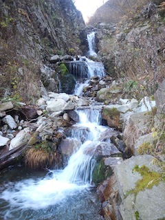 c0359615_20393890.jpg