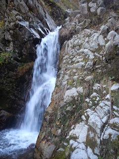 c0359615_20400354.jpg