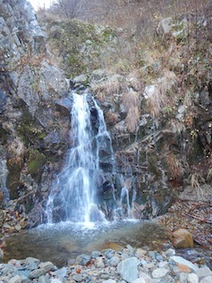 c0359615_20401507.jpg