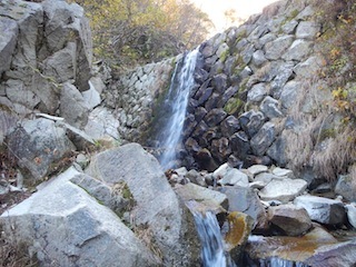 c0359615_20402610.jpg